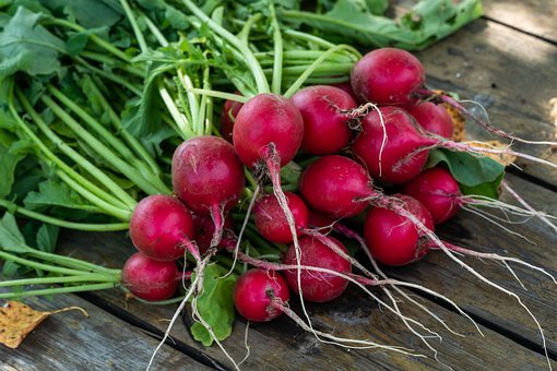 It’s Not Too Early to Start Planning Your Fall Vegetable Garden